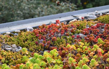 the cost of Hirnant green roof installation