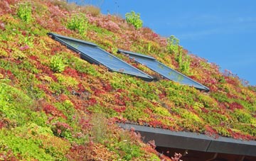 Hirnant living roof systems