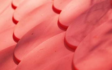 Hirnant plastic roof costs