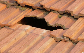roof repair Hirnant, Powys